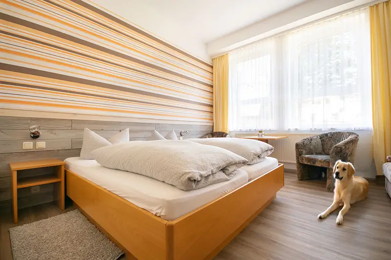 Hotelzimmer mit Hund buchen Hunde sind in unserem Hotel erlaubt. Buchen Sie auf Anfrage ein Hotelzimmer mit Ihrem Hund im Erzgebrige