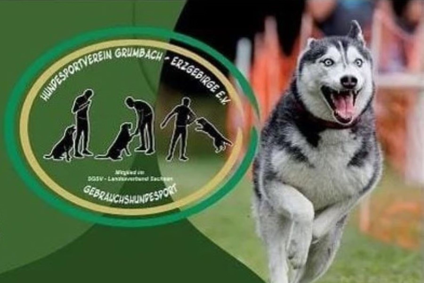 2. Grumbacher Hundetag